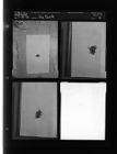 Big beetle (4 Negatives) (July 19, 1958) [Sleeve 41, Folder d, Box 15]